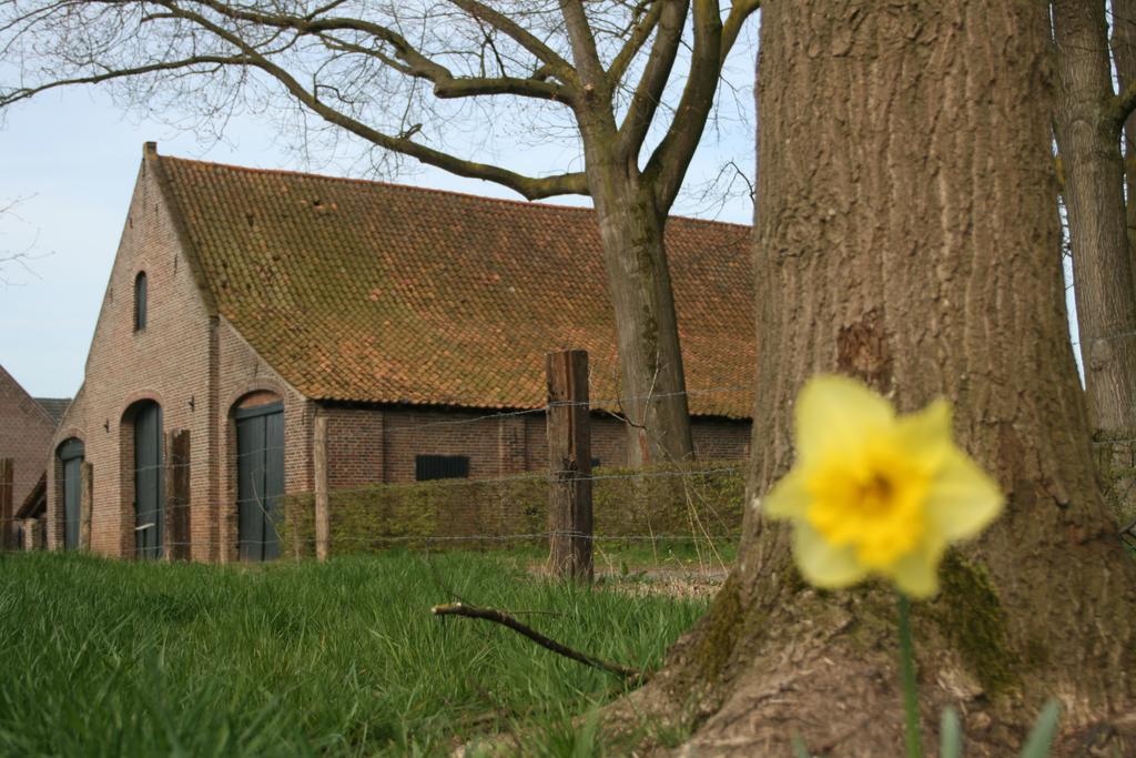 Erfgoedlogies D'Ouffenhoff Hotel Baarlo  Kamer foto